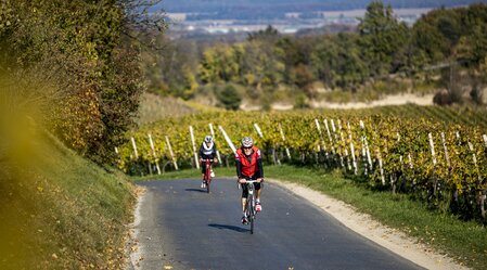 Cycling on the Wine Country Styria Tour | © Steiermark Tourismus | Tom Lamm