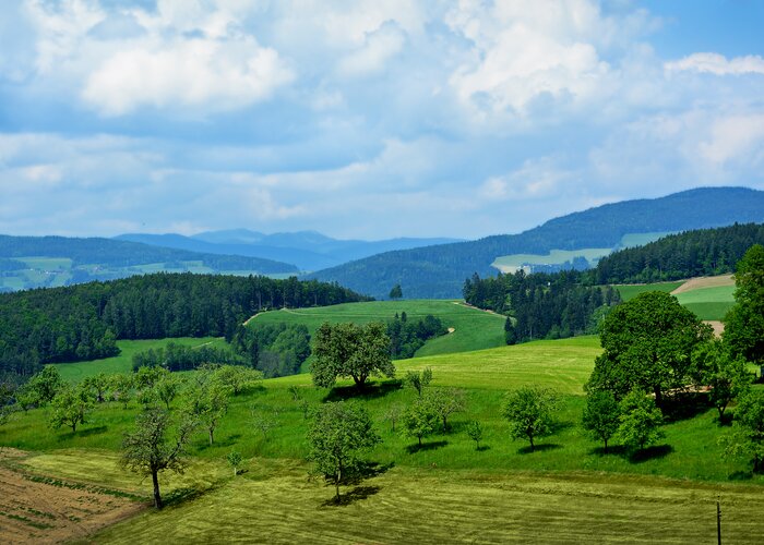 Spring landscapes in Eastern Styria | ©  Oststeiermark Tourismus | Christian Strassegger