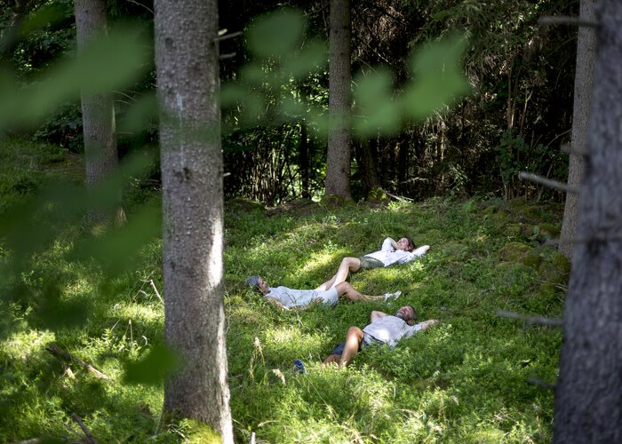 Waldbaden liegen | © STG |  Tom Lamm