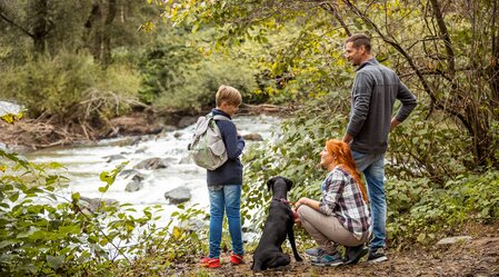 Familie mit Hundern Wandern am Wasser 