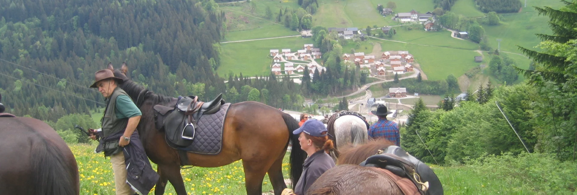 Horse Riding Riding trail from St. Agatha to Altaussee - Touren-Impression #1 | © Reitgemeinschaft Ausseerland