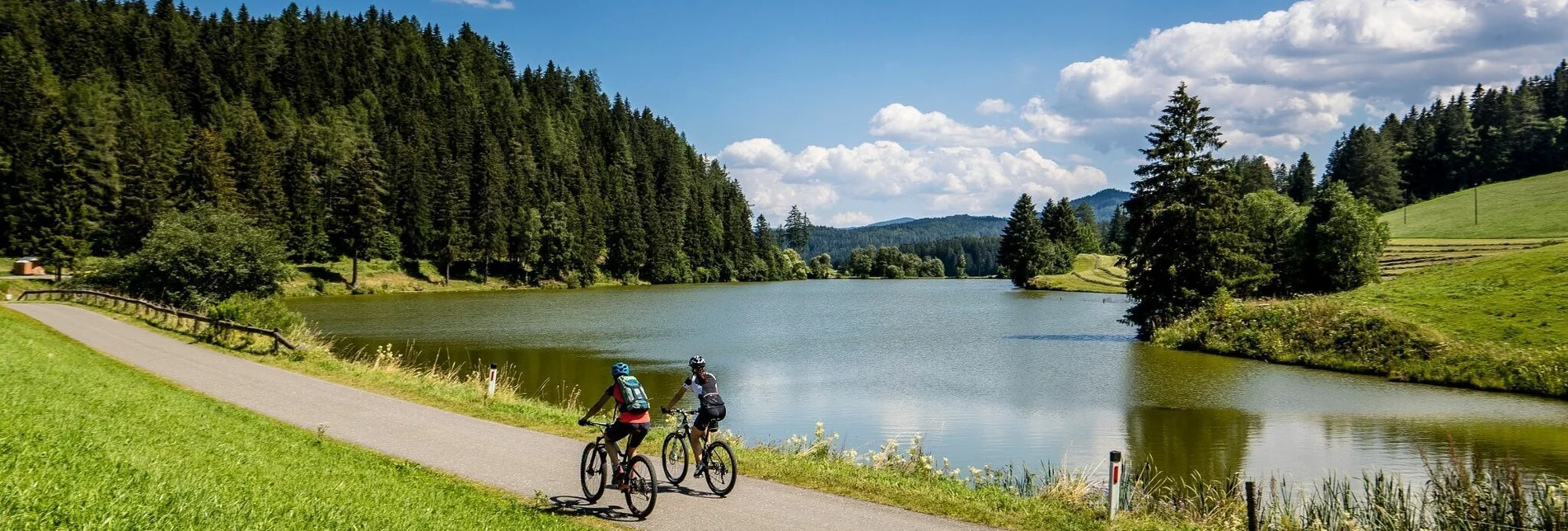 Mountainbike Teich-Runde - Touren-Impression #1 | © Tourismusverband Region Murau