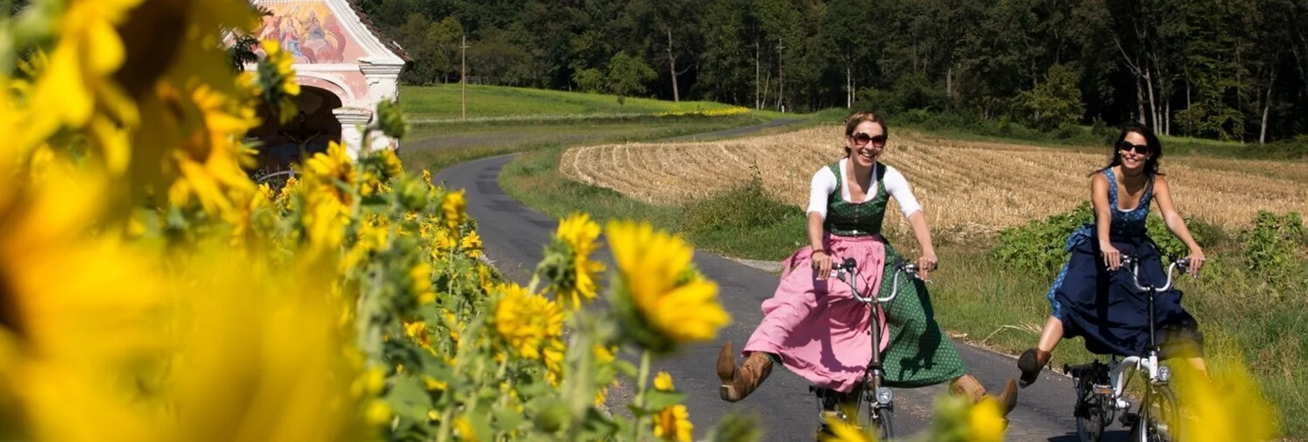 Bike Riding E-bike pleasure tour through Eastern Styria - Touren-Impression #1 | © Oststeiermark Tourismus