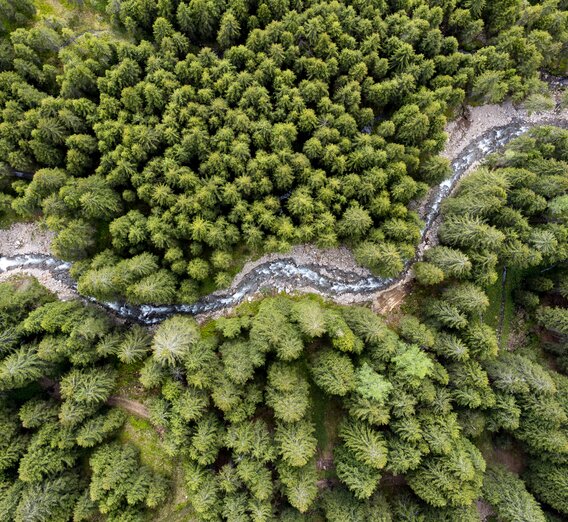 Schmelzbach schlingt sich durch die steirischen Wälder | © STG | Tom Lamm