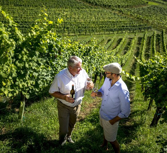 Weinverkostung mit dem Weinbauern Alois Gross im Weingarten, Ratsch a.d. Weinstraße  | © STG | Tom Lamm