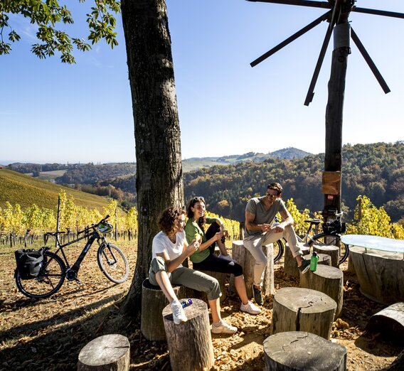 Cycling at the Styrian Wine Country Cycling Tour | © Steiermark Tourismus | Tom Lamm