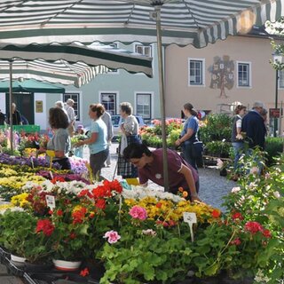 weekly market, Bad Aussee, flowers | © Stadtgemeinde Bad Aussee