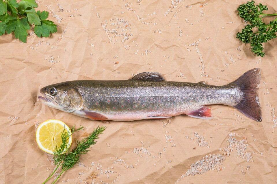 Fishery Ausseerland - Fischdepot Kainisch - Impression #1 | © Fischerei Ausseerland/Martin Huber