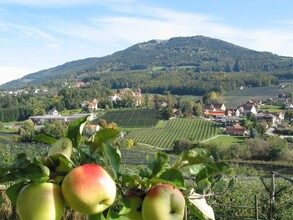 Fruit farm Pirchheim_location Puch_Eastern Styria | © Tourismusverband Oststeiermark