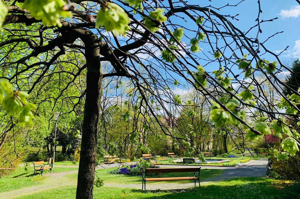 Picknicken im Stadtpark Gleisdorf - Impression #1 | © Stadtgemeinde Gleisdorf_Tourismusverband Oststeiermark
