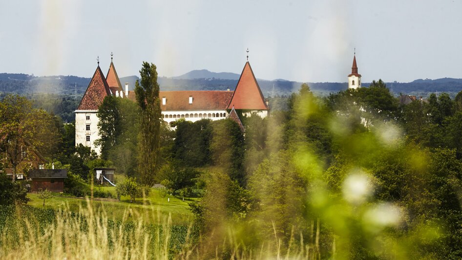 Schloss Spielfeld inmitten der Natur | © Manfred Donauer