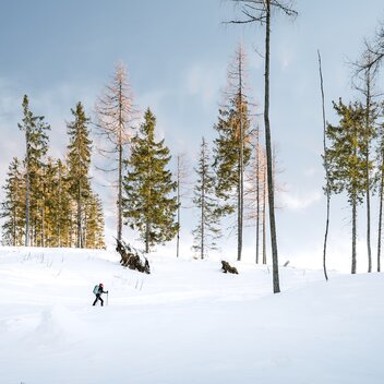 Snowshoe walking along the Lahngang | © TV Gesäuse | Christoph Lukas