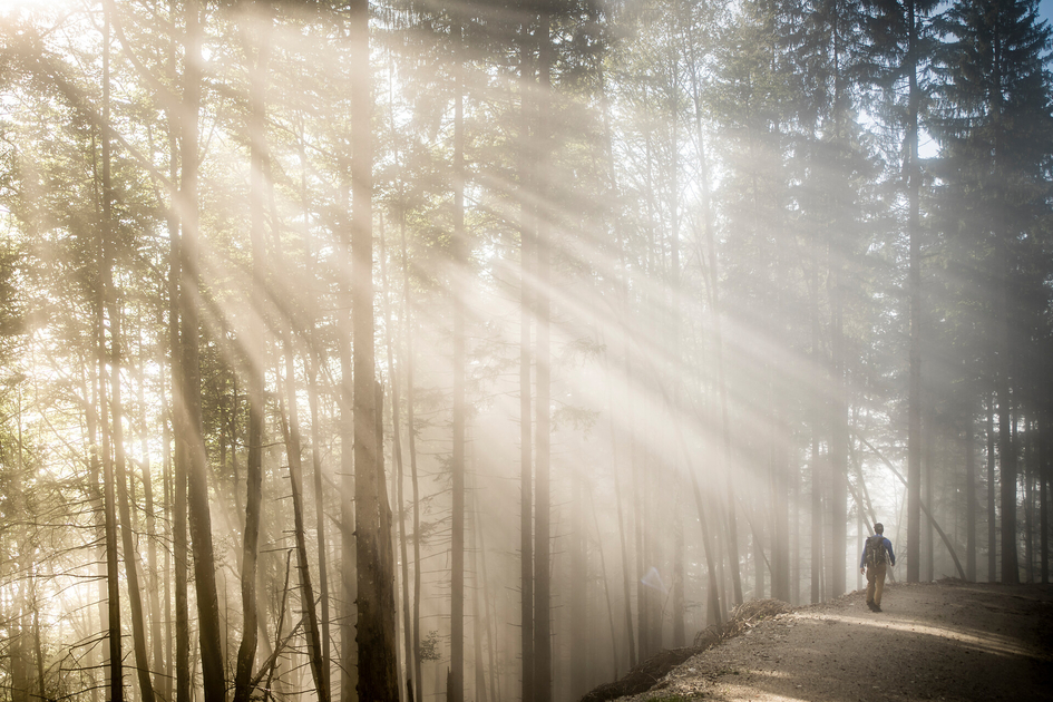 Sieben Elemente Weg | © WEGES | Stefan Leitner