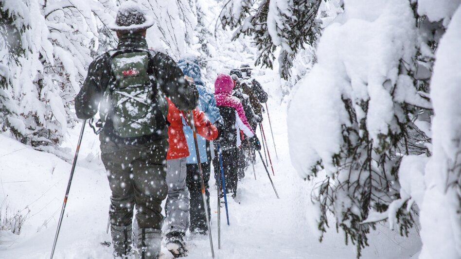 Mit Schneeschuhen unterwegs | Thomas Sattler