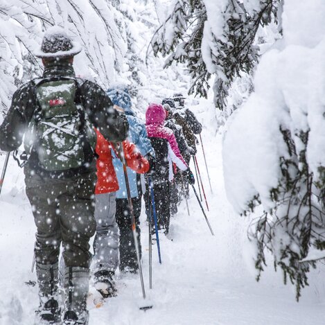 Mit Schneeschuhen unterwegs | Thomas Sattler