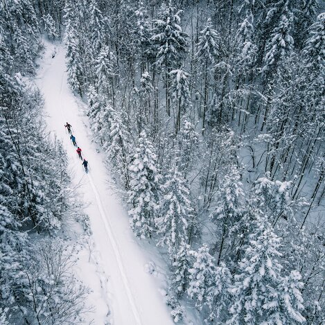 Spuren im Schnee | Thomas Sattler