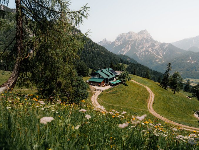 Grabneralm I Gesäuse I Steiermark