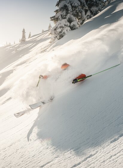 Tiefschneeabfahrt I Gesäuse I Steiermark