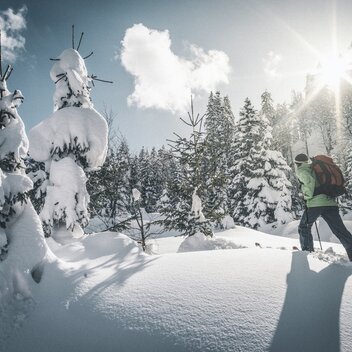 Wintertour im Gesäuse I Steiermark | © Stefan Leitner