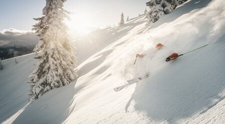 Powderabfahrt im Gesäuse I Steiermark | © Stefan Leitner