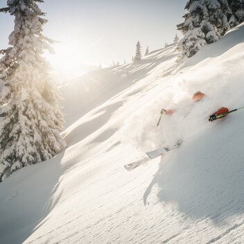 Powderabfahrt im Gesäuse I Steiermark | © Stefan Leitner