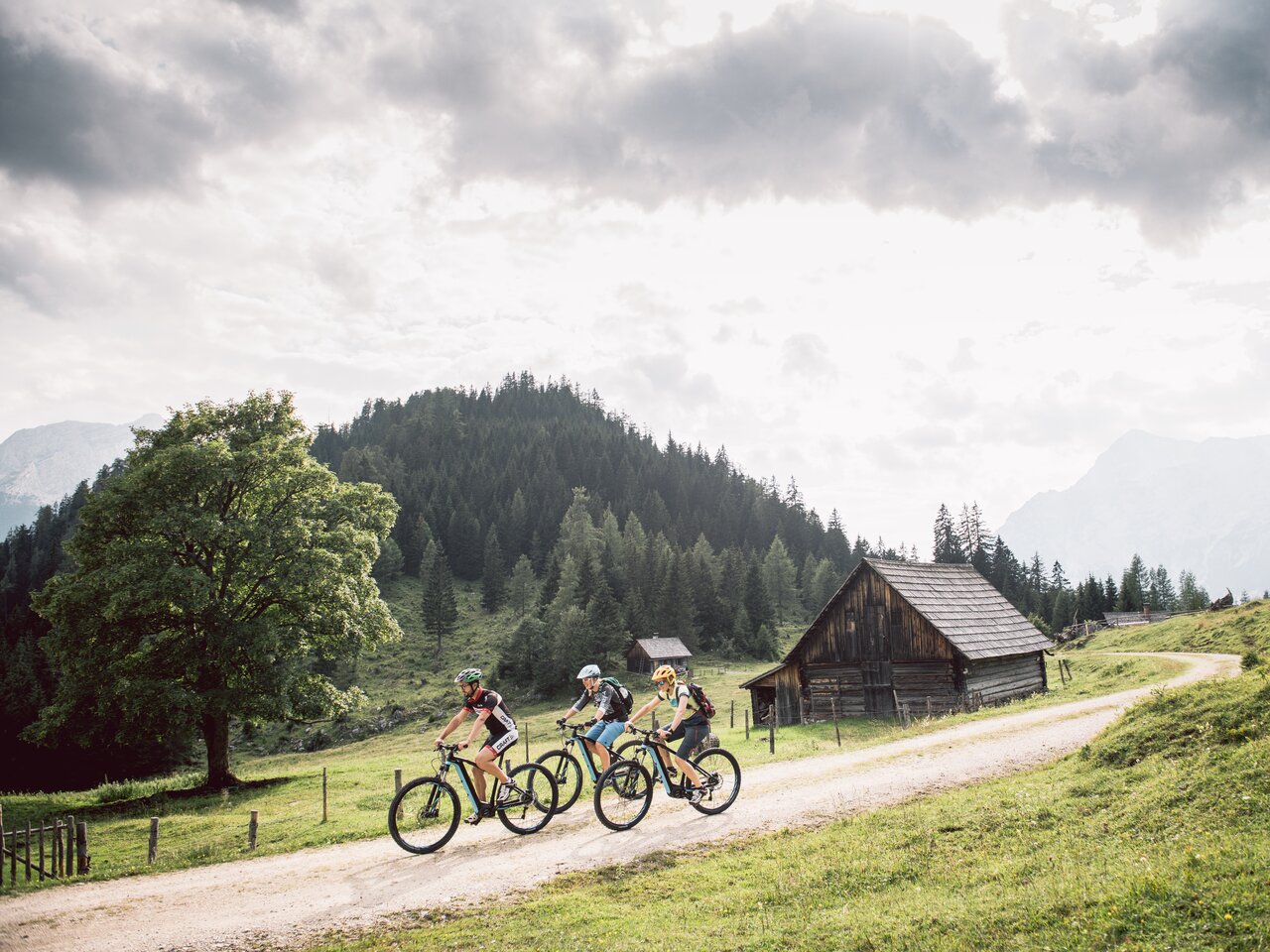 Biker auf den Almen des Gesäuses | © TV Gesäuse | Stefan Leitner