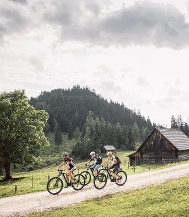 Biker auf den Almen des Gesäuses | © TV Gesäuse | Stefan Leitner