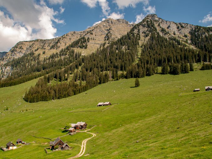 Hinteregger Alm I Gesäuse I Steiermark