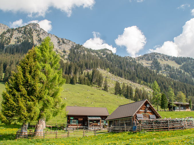 Kink Hütte I Gesäuse I Steiermark
