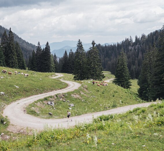 Hiking in the Gesäuse | © Stefan Leitner