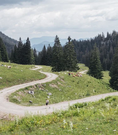 Wandern im Gesäuse | © Stefan Leitner