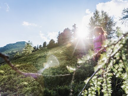 Blick zurück auf den Gipfel des Stein am Mandl in Rottenmann