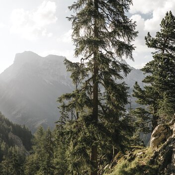 Wasserfallweg zur Hesshütte | © stefanleitner.com | Stefan Leitner