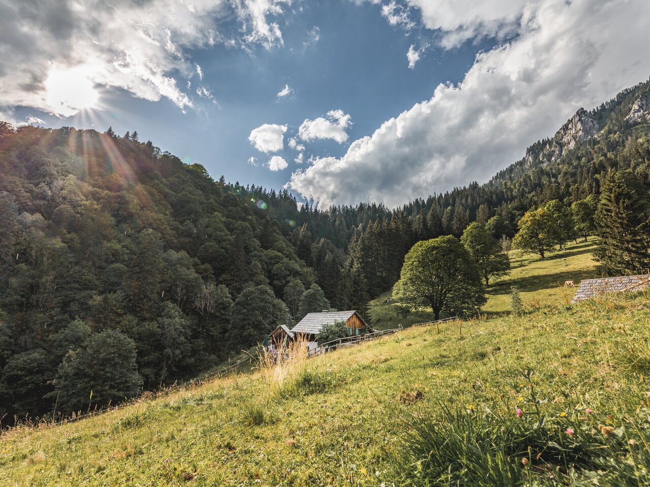 © thomas sattler photography | Thomas Sattler