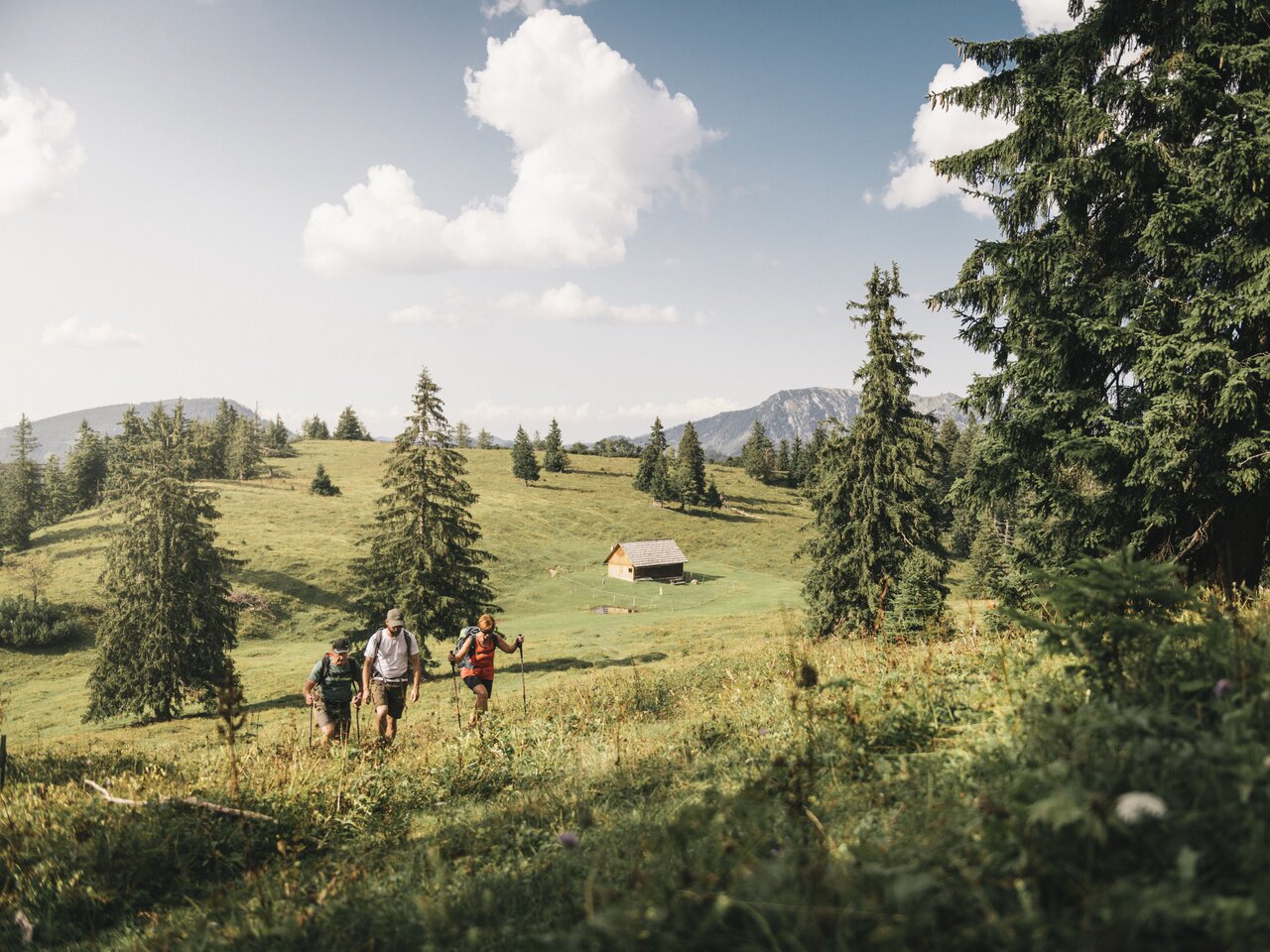 Wanderung