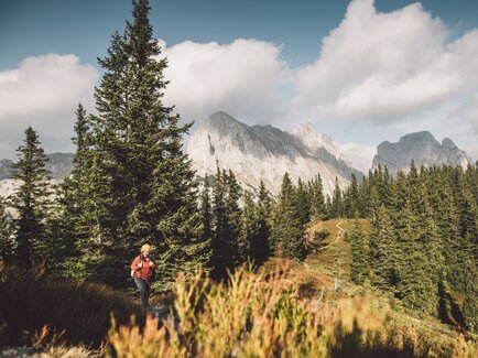 Auf dem Weg zum Lahngangkogel