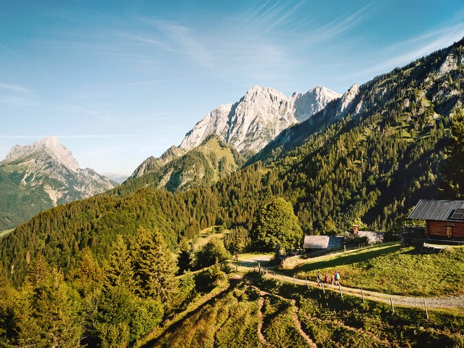 Ebneralm entlang der Johnsbacher Almenrunde
