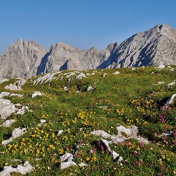 Auf der Gsuchmauer I Gesäuse I Steiermark | Herfried Marek