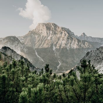 Großer Buchstein I Gesäuse I Steiermark | Max Mauthner