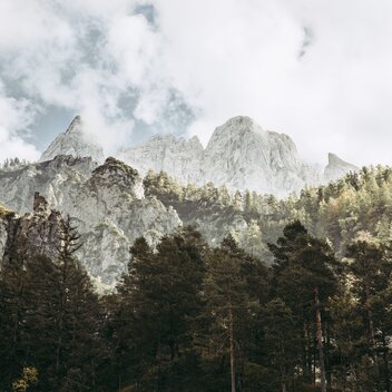 Luchs Trail I Gesäuse I Steiermark | Max Mauthner