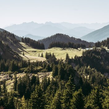 Luchs Trail I Gesäuse  | Max Mauthner