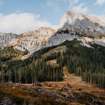 Kalbling_c-Christoph_Lukas | © Christoph Lukas |  