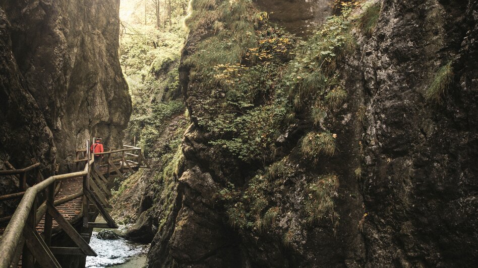 Nothklamm Gams I Gesäuse I Steiermark