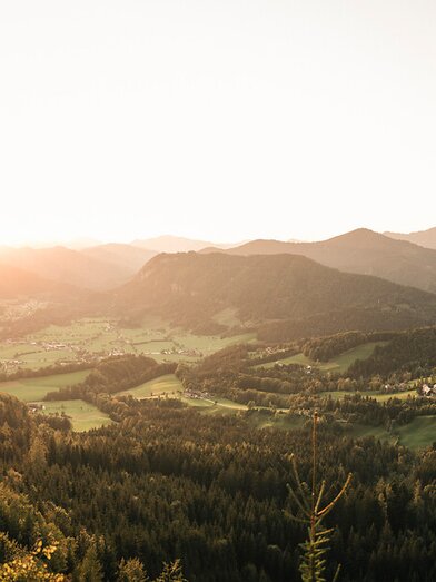 Auf den Buchberg zwischen Hinterwildalpen und Landl/Gams_c-Stefan Leitner_Gesaeuse_36 | © TV Gesäuse | Stefan Leitner