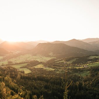 Auf den Buchberg zwischen Hinterwildalpen und Landl/Gams_c-Stefan Leitner_Gesaeuse_36 | © TV Gesäuse | Stefan Leitner