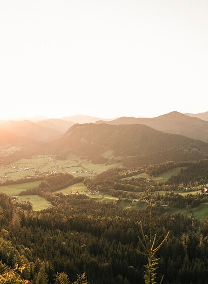 Auf den Buchberg zwischen Hinterwildalpen und Landl/Gams_c-Stefan Leitner_Gesaeuse_36 | © TV Gesäuse | Stefan Leitner