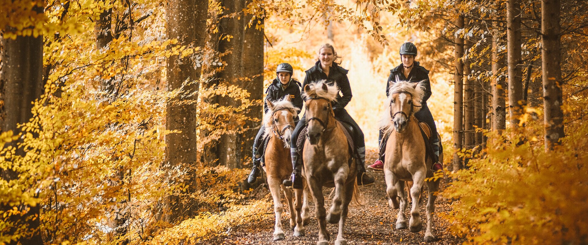 Horseback riding in the Gesäuse | © Stefan Leitner |  