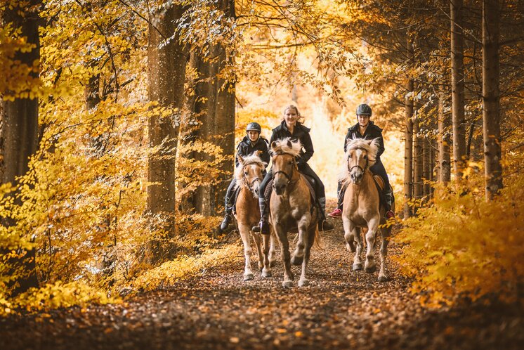 Horseback riding in the Gesäuse | © Stefan Leitner |  
