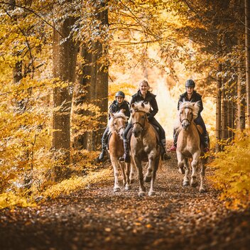 Horseback riding in the Gesäuse | © Stefan Leitner |  
