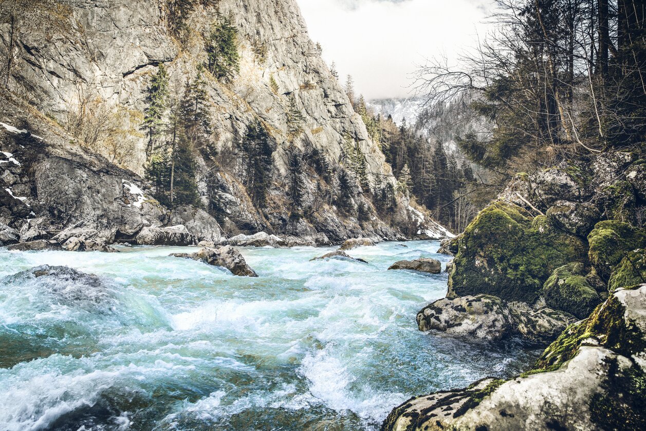 © www.stefanleitner.com
